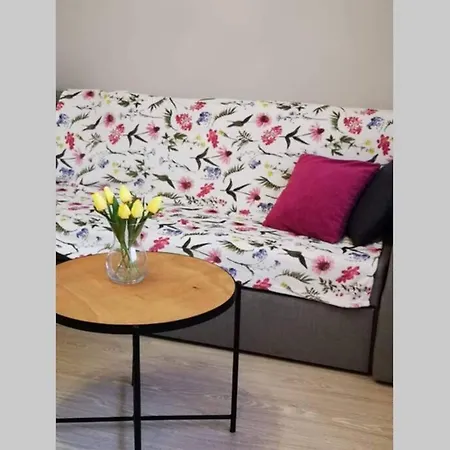 - Mnichowo Apartment